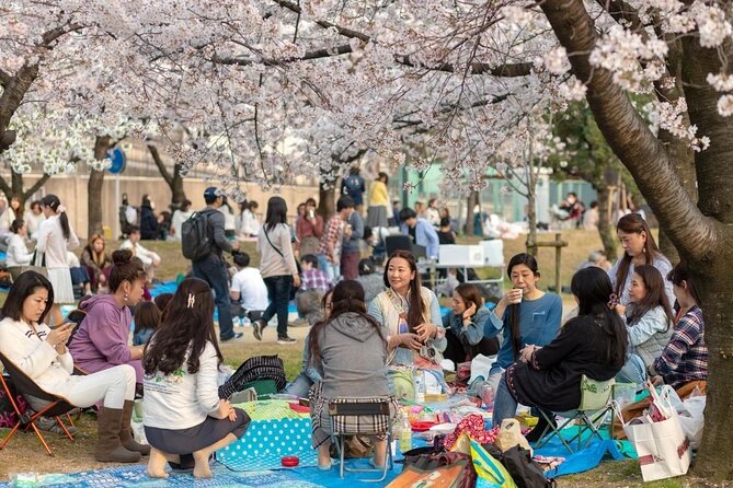 Osaka Private Cherry Blossom Tour with a Local – Picnic Included - Riverside rows of more than 5,000 cherry trees
