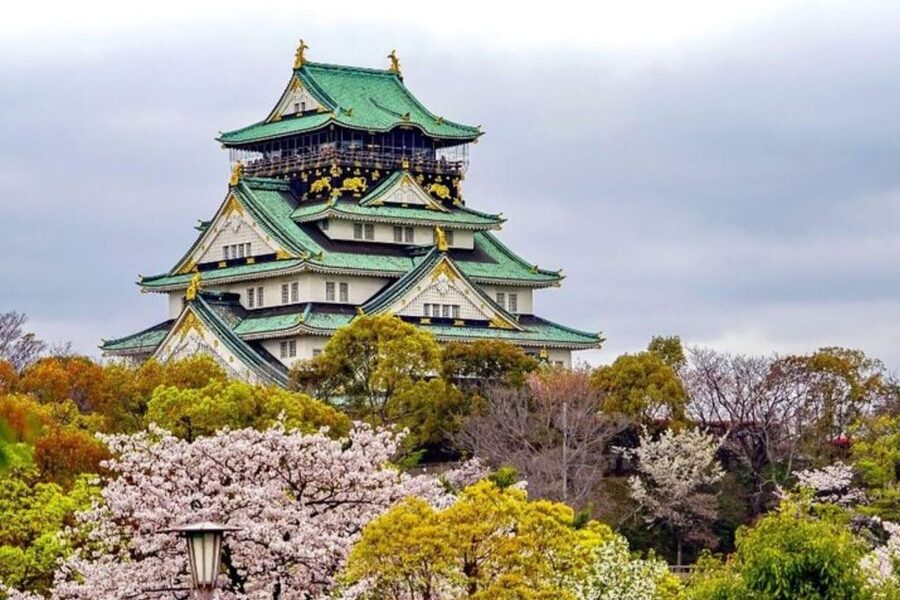 Osaka: Private Custom Walking Tour with a Local Guide - Who will get the most from this walk