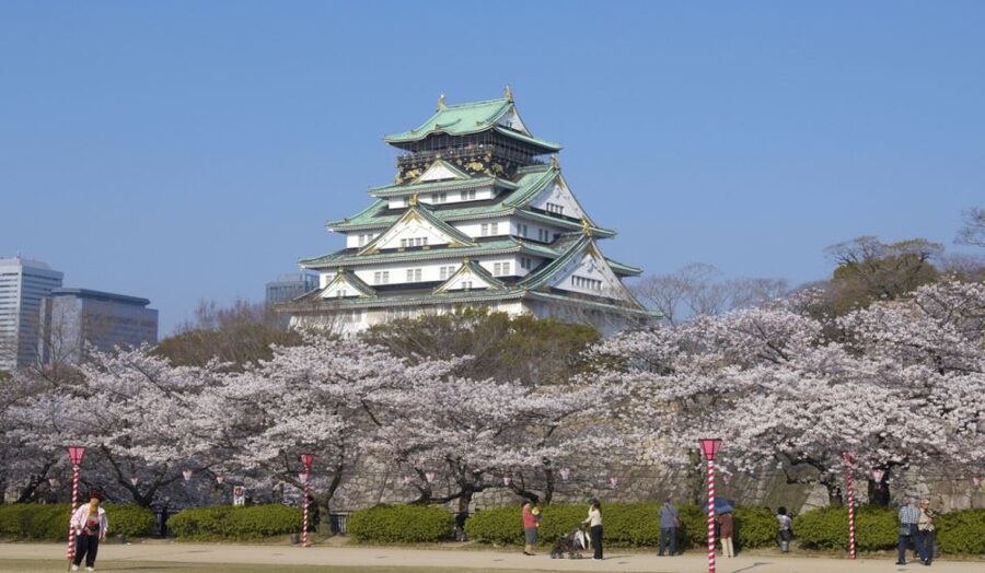 Osaka: Private Customizable Day Tour with Hotel Transfer - Kuromon Ichiba Market: the day’s food stop