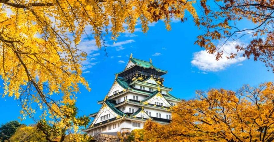 Osaka: Private Customizable Day Tour with Hotel Transfer - Is $232 per person a fair price?
