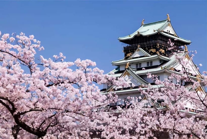 Osaka: Private Customizable Day Tour with Hotel Transfer - Osaka Castle: a grand first stop
