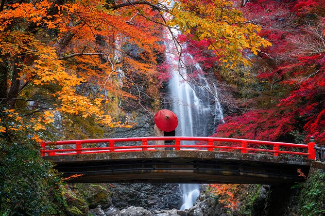 Osaka Private Customizable Half Day Tour - Universal Studios Japan is a very different choice