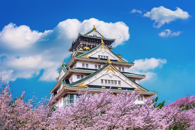 Osaka Private Food Tours by Local Foodies: 100% Personalized - What the private guide adds