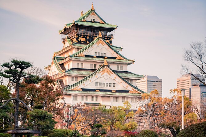 Osaka Private Hightlights Tour Customizable & English Driver - Key points before you book