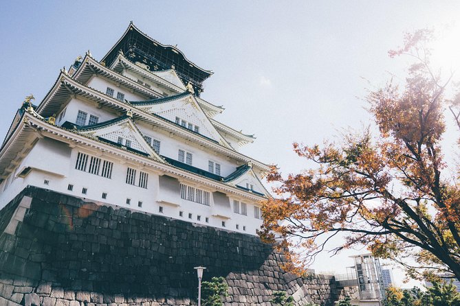 Osaka Private Pop Culture Tour: Historic Tenma to Dotonbori - What $243.73 per person buys you
