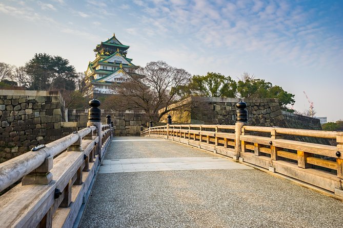 Osaka Private Pop Culture Tour: Historic Tenma to Dotonbori - Booking advice for a smoother day