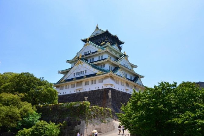 Osaka Private Tour by Public Transportation - What the private format is worth at $149.57