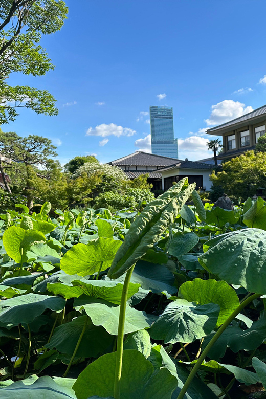Osaka: Private Tour of Shitennoji, Osaka's Oldest Temple - Is $60 per person a fair price?