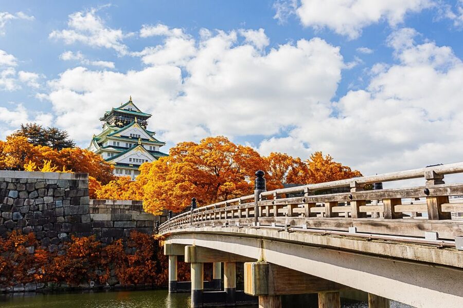 Osaka Private Tour with Government-Licensed Guide - Kuromon Ichiba Market, where sightseeing becomes lunch planning