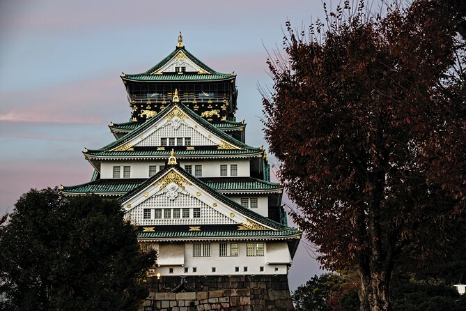 Osaka Private Walking Tour with a Local - Who will get the most from this walk?