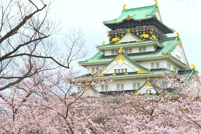 Osaka Private Walking Tour with a Local - Build the walk around the Osaka you want to see