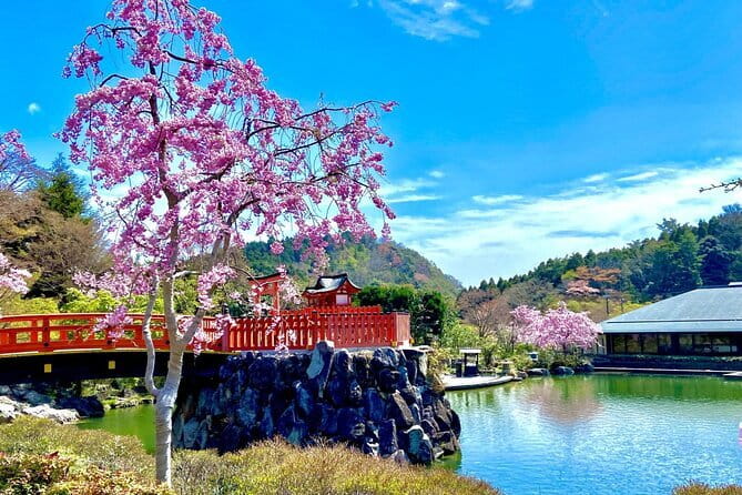 Osaka's Secret Adventures: Daruma Magic and Minoh Falls - Why this Osaka outing feels different