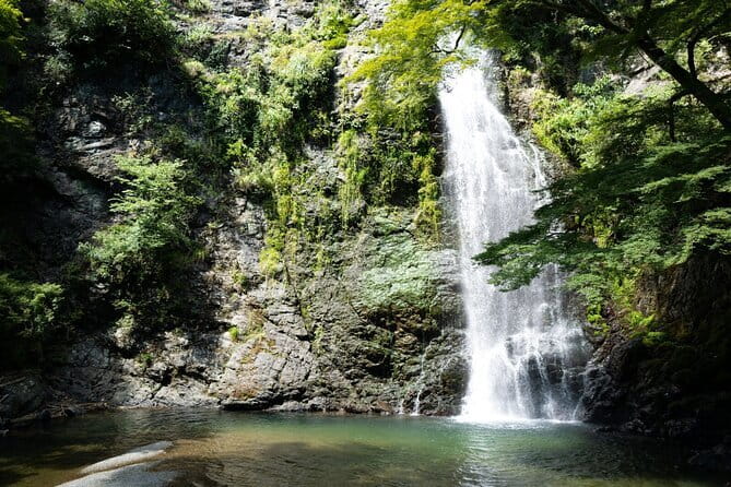 Osaka's Secret Adventures: Daruma Magic and Minoh Falls - The forest path to Minoh Falls