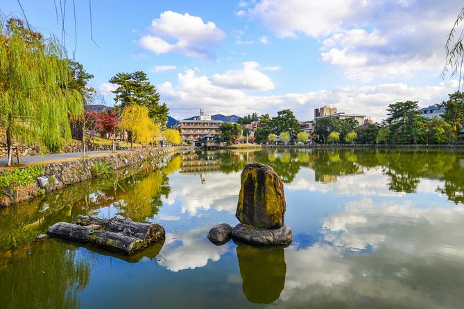 Osaka to Nara Day Trip with a Local – Private & Personalized - Meeting in Osaka and reaching Nara