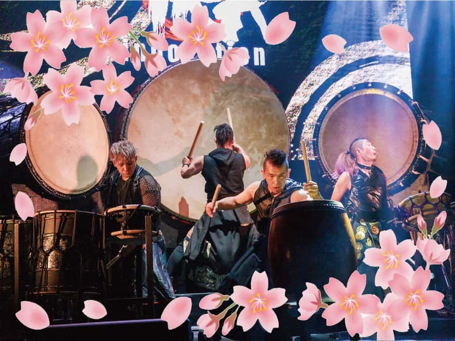 Osaka: UTAGE Japanese Taiko Live Show - Key points to know before you book