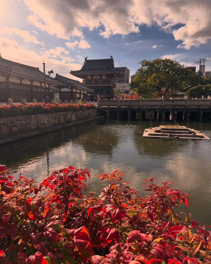 Osaka: Visit the must-see places. - Namba and Dotombori after dark-style Osaka