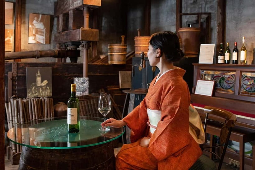 Osaka Winery Tour with Wine Tasting & Vineyard Walk - What the guide adds
