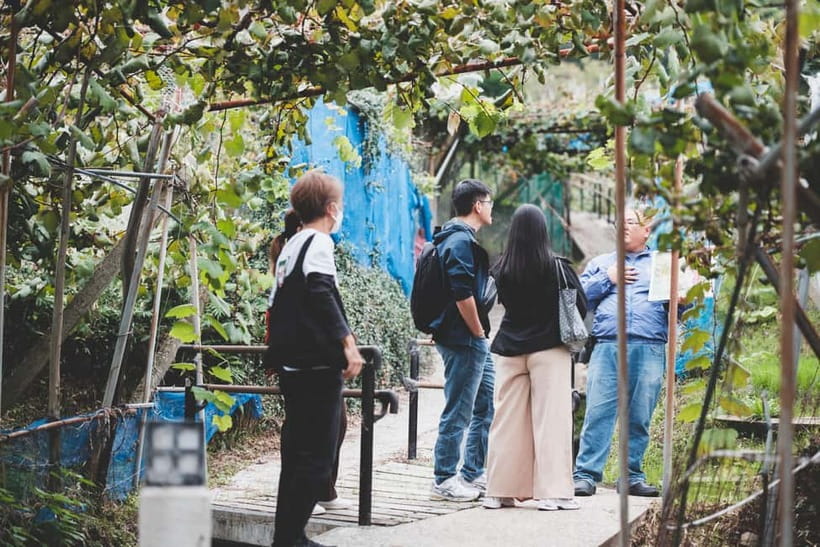 Osaka Winery Tour with Wine Tasting & Vineyard Walk - How the $83 price compares with the experience