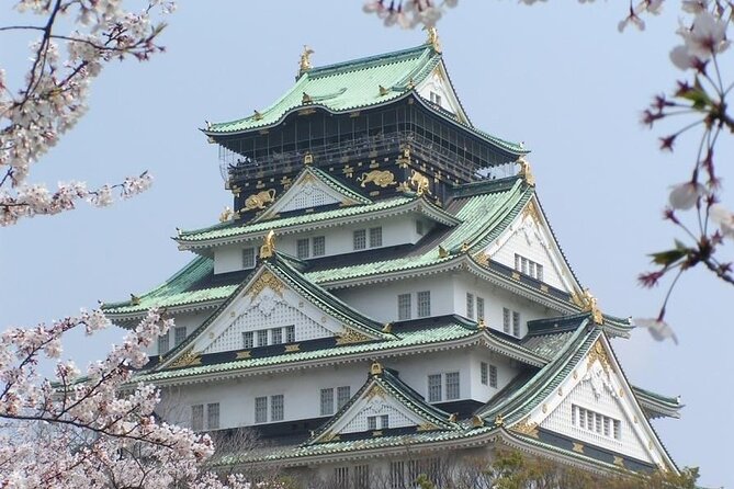 PRIVATE 6hr, Food tour from Osaka Castle, Kuromon, Dotonbori. - Dotonbori and the Glico sign