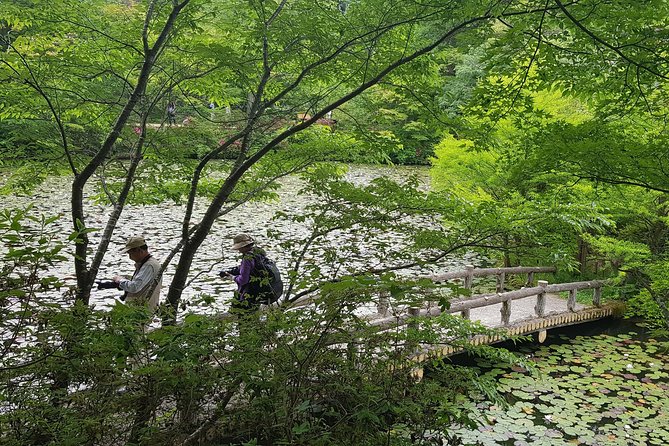 Private Car Day Trip to the Kobe Mountains, Gardens and Hot Springs from Osaka - What private guiding adds to the day