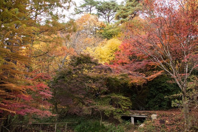 Private Car Day Trip to the Kobe Mountains, Gardens and Hot Springs from Osaka - Who should book this Kobe mountain day trip?