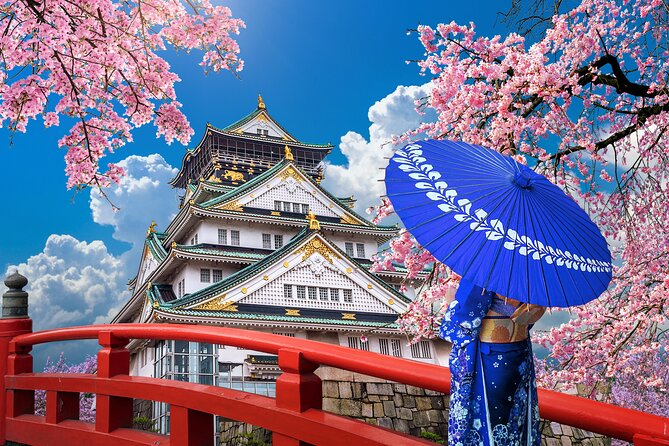 Private Day Tour in Osaka and Kyoto with charter car - A Private Car Changes the Osaka to Kyoto Day