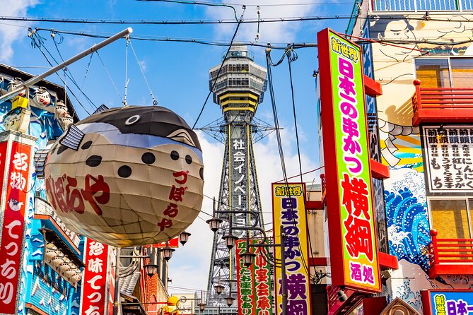 Private Day Tour in Osaka and Kyoto with charter car - The Driver and Communication Plan