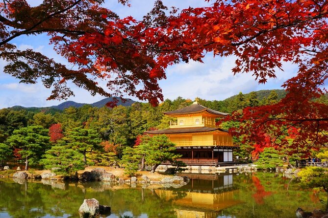 Private Day Tour in Osaka and Kyoto with charter car - Price, Extra Costs, and Group Value