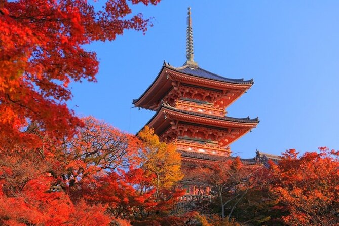 Private Day Tour in Osaka and Kyoto with charter car - Route B: Arashiyama and the Golden Pavilion