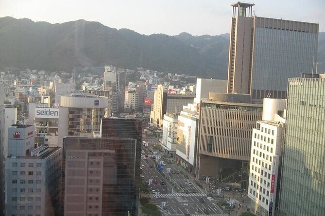 Private Full-Day Guided Tour in the City of Kobe - Who Will Get the Most from This Kobe Tour