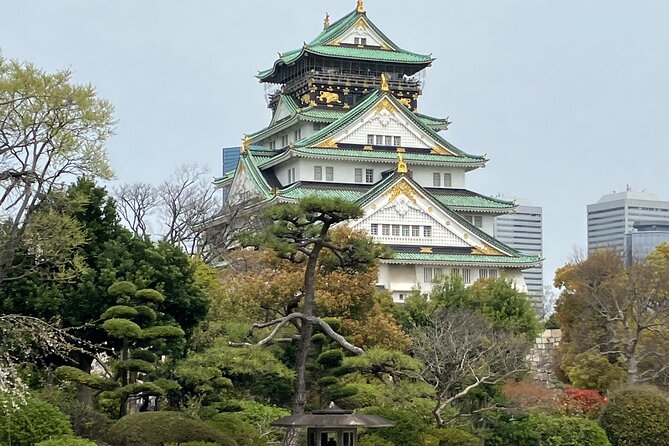 Private Osaka Tour with Hotel Meet Up - A smart first look at Osaka