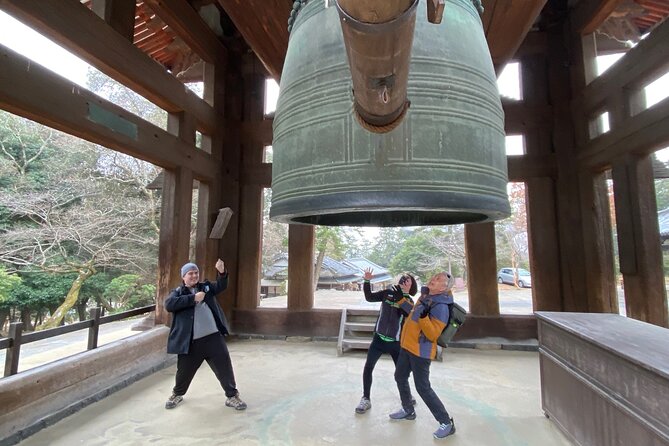 Private Tour to Nara from Osaka with English speaking Driver - Yakushiji and Shin-Yakushiji