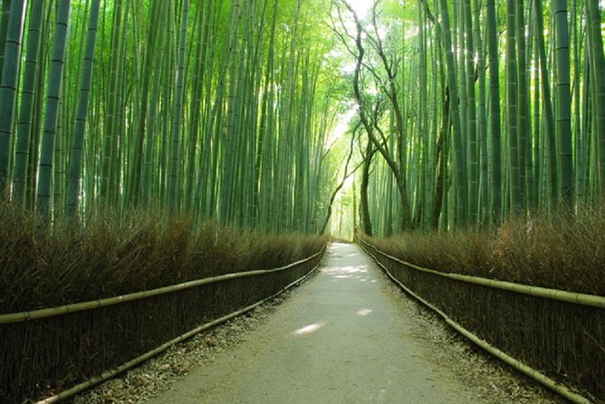 Sagano Romantic Train & Arashiyama, Kiyomizudera, Fushimi Inari Taisha Day Tour - Why this Kyoto day trip works from Osaka