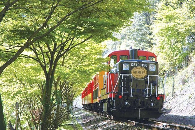 Sagano Romantic Train & Arashiyama, Kiyomizudera, Fushimi Inari Taisha Day Tour - Guides, group size, and the pace of the day