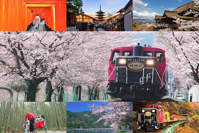 Sagano Romantic Train & Arashiyama, Kiyomizudera, Fushimi Inari Taisha Day Tour - Arashiyama’s bamboo and the Katsura River