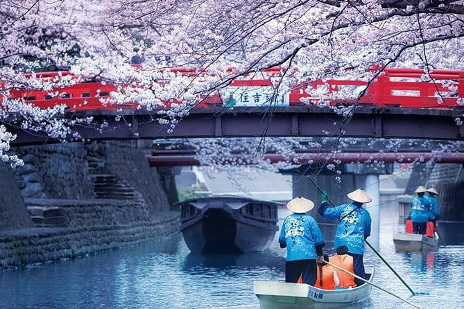 Sakura Magic and Nabana No Sato Day Tour From Osaka - Key points to know before booking