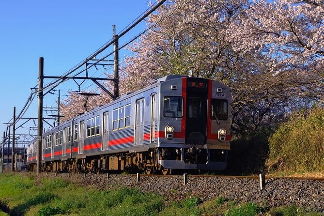Sakura Magic and Nabana No Sato Day Tour From Osaka - Sekigahara: Wagyu sukiyaki and a practical first stop