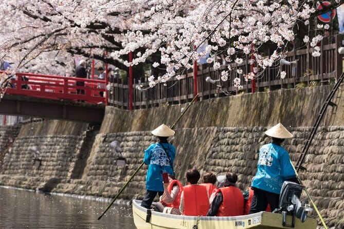Sakura Magic and Nabana No Sato Day Tour From Osaka - Yoro Railway: the most memorable blossom moment