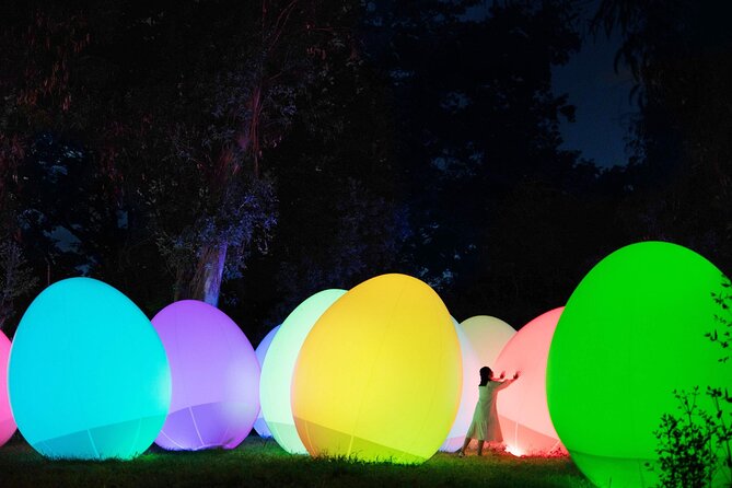 TeamLab Botanical Garden Osaka Ticket - Walking through the glowing cypress forest