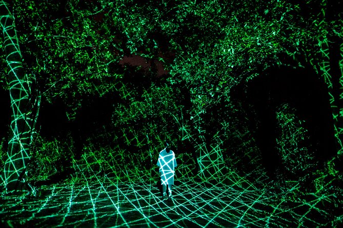 TeamLab Botanical Garden Osaka Ticket - Is the $28 ticket good value?