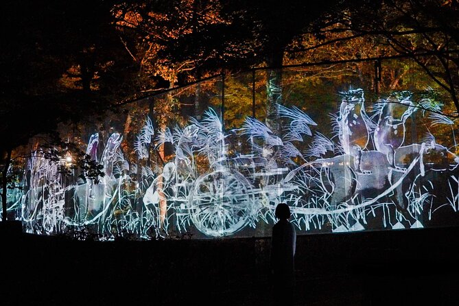 TeamLab Botanical Garden Osaka Ticket - Why the experience works best in photographs
