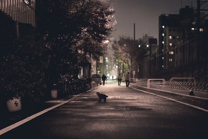 The Dark Side of Osaka Walking Tour - What the guides add to the walk