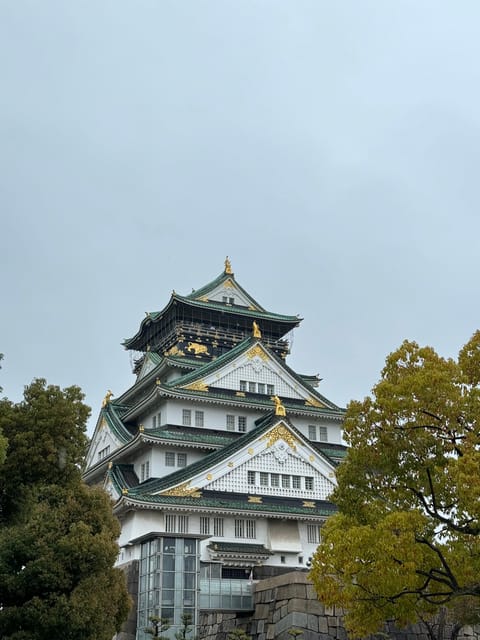 (Ticket Included) Explore Osaka Castle & Museum of History - Osaka Castle through the city’s longer story