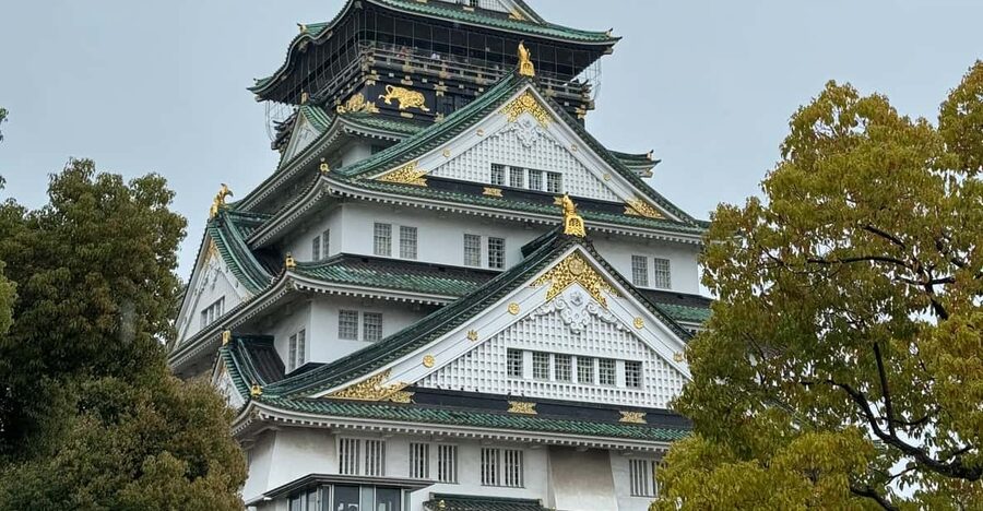 (Ticket Included) Explore Osaka Castle & Museum of History - Choosing between the 7:30 walk and the 10:00 tour