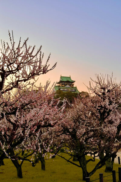 (Ticket Included) Explore Osaka Castle & Museum of History