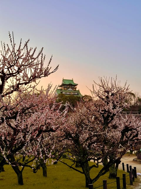 (Ticket Included) Explore Osaka Castle & Museum of History - Walking from the museum toward the castle grounds