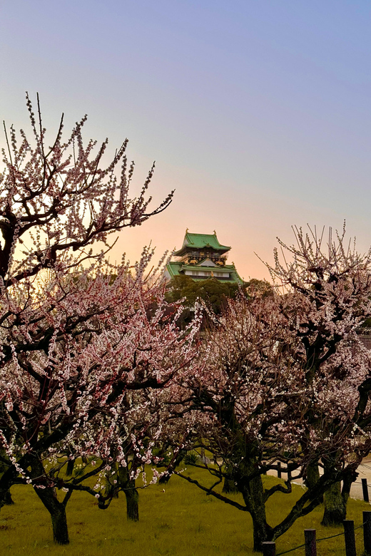 (Ticket Included) Explore Osaka Castle & Museum of History - Finding the meeting point at Naniwanomiya Site